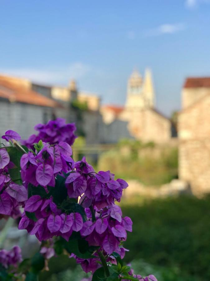 Apt Bobotovi In Center Of Stari Grad, Hvar Extérieur photo